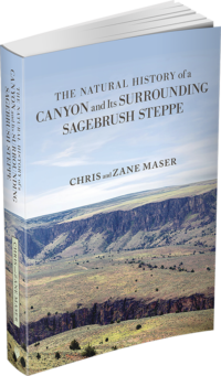 The Natural History of a Canyon and Its Surrounding Sagebrush Steppe by Chris and Zane Maser