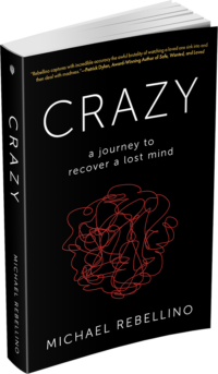 CRAZY: a journey to recover a lost mind by Michael Rebellino