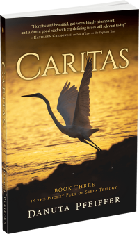 Caritas by Danuta Pfeiffer