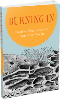Burning In: Emotion Regulation for the Twenty-First Century by Dean Edmond Wilber